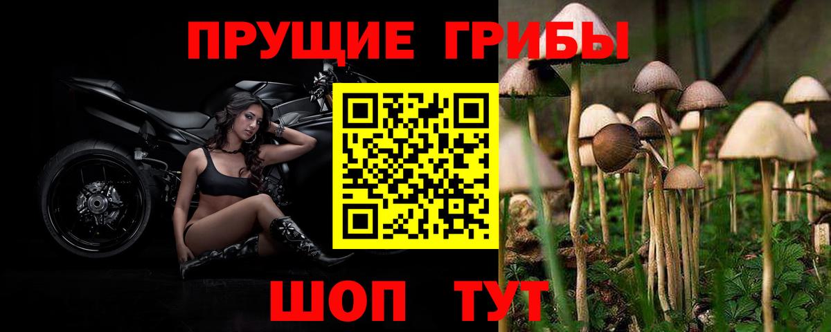 Псилоцибиновые грибы Psilocybine cubensis  где купить   Лабытнанги  Вход с VPN 